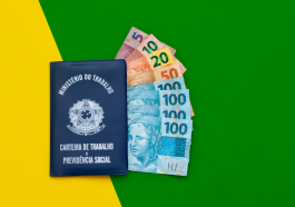 fundo verde e amarelo com carteira de trabalho e notas de dinheiro em real dentro simbolizando o pagamento do 13° salário décimo