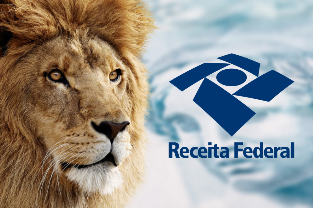 Declaração do Imposto de Renda: Seu guia completo