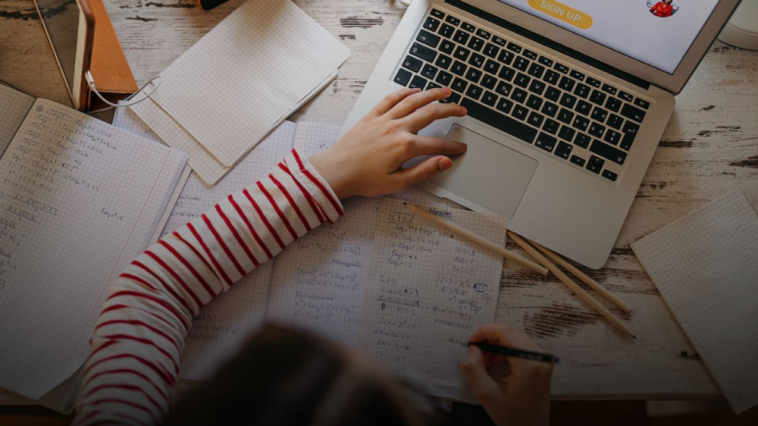 Faculdade gratuita: como estudar sem pagar mensalidade